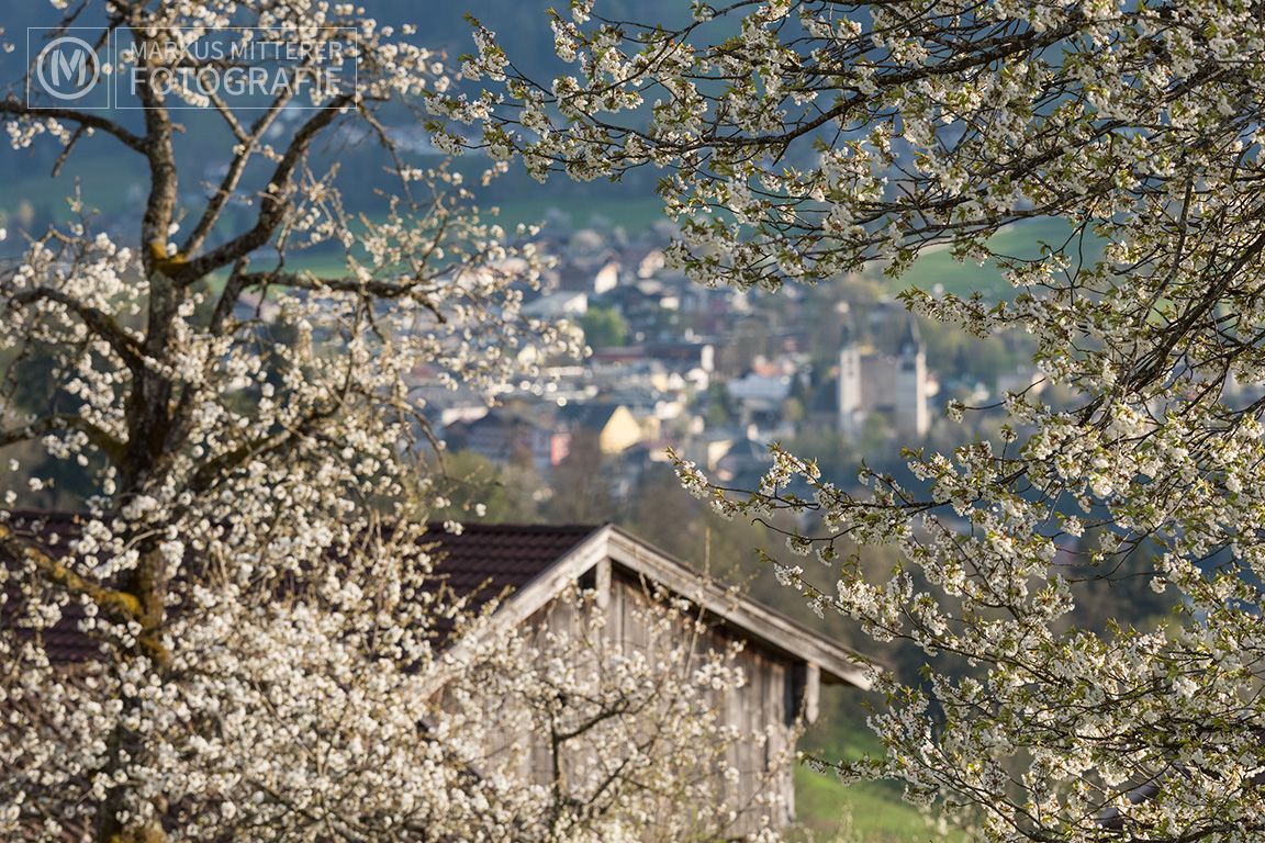 markus-mitterer-kitzbuehel-004