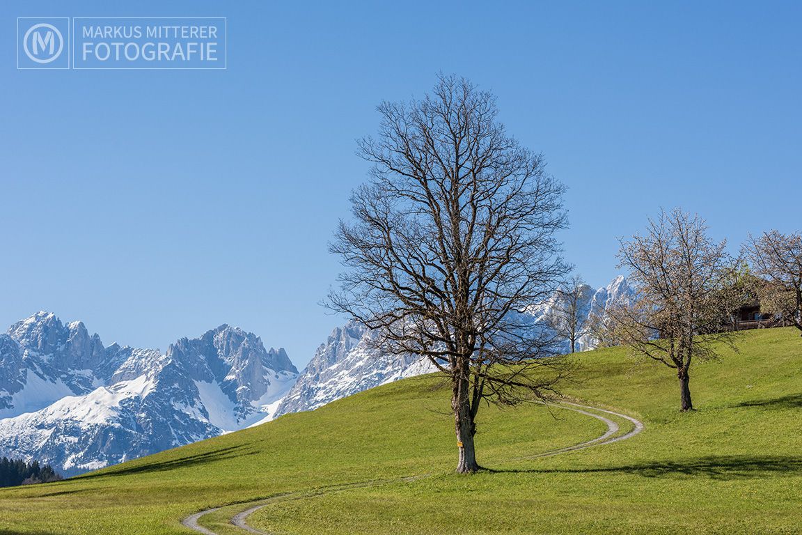 markus-mitterer-kitzbuehel-025