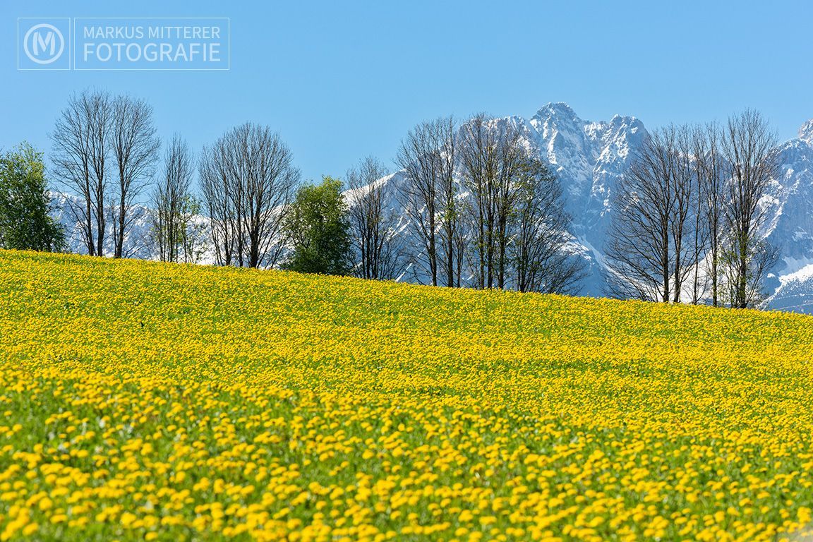 markus-mitterer-kitzbuehel-026