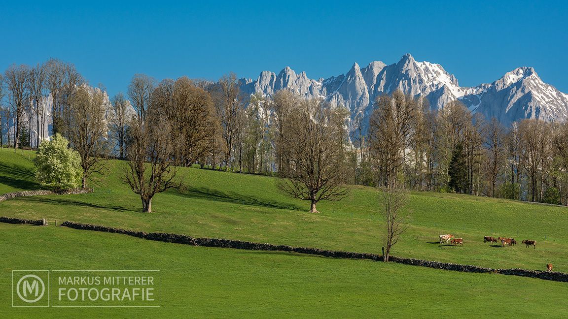 markus-mitterer-kitzbueheler-alpen-023