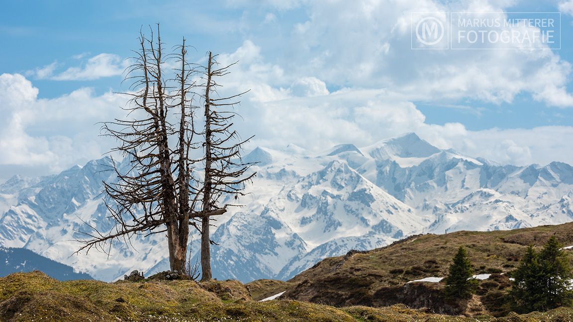 markus-mitterer-kitzbueheler-alpen-034