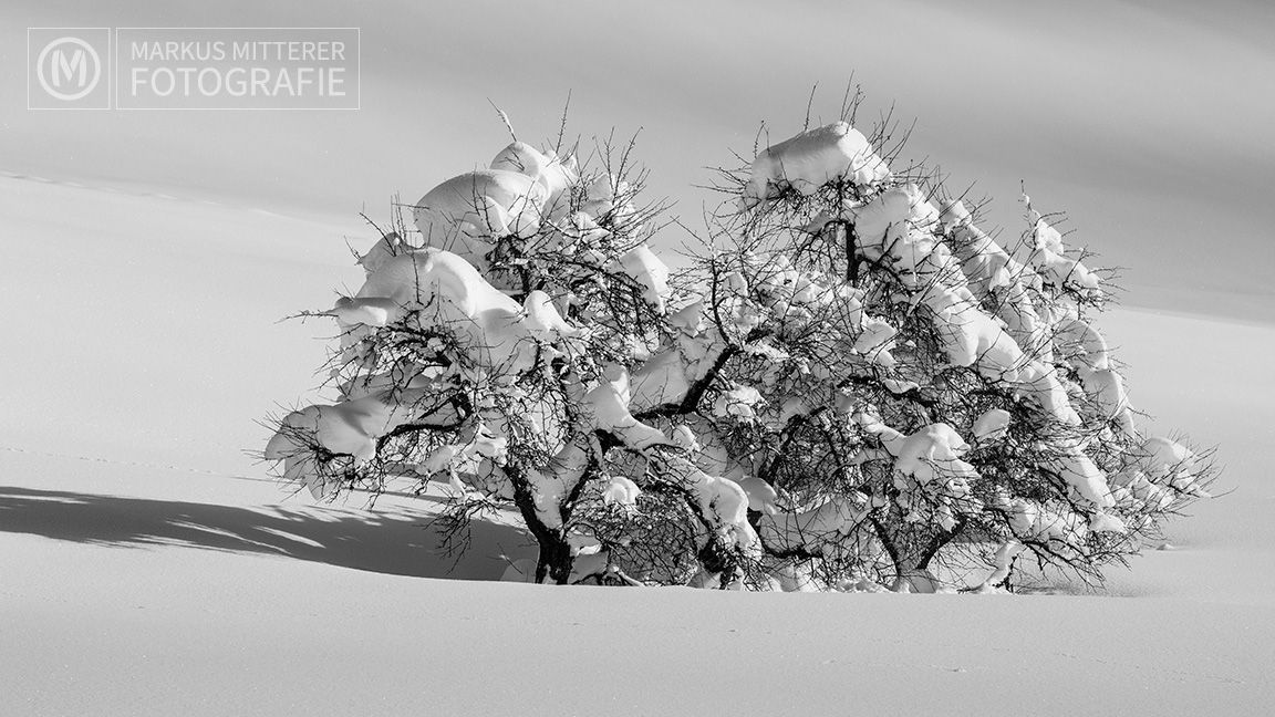 markus-mitterer-schnee-006